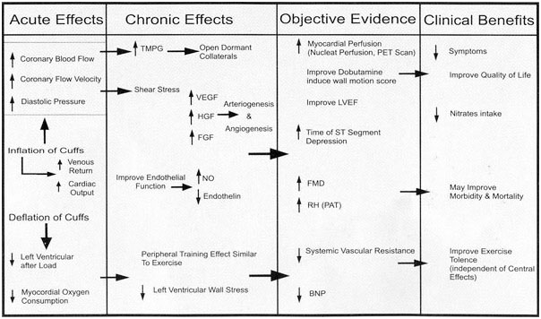 doctors guide