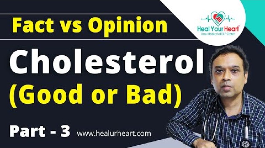 cholesterol good or bad fact vs opinion part 3