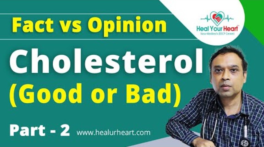 cholesterol good or bad fact vs opinion part 2
