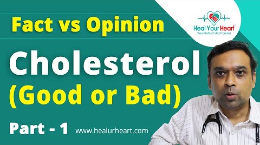 cholesterol good or bad fact vs opinion part 1